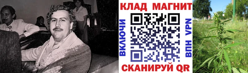  Cocaine Шацк