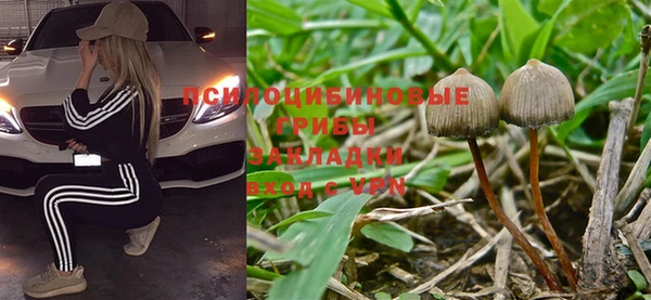 прущий лед Липки