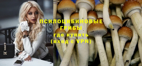индика Магадан