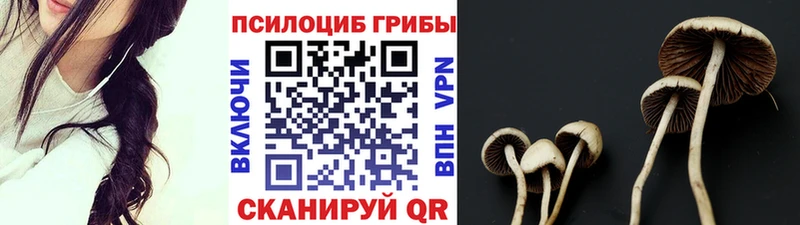 Псилоцибиновые грибы GOLDEN TEACHER Шацк